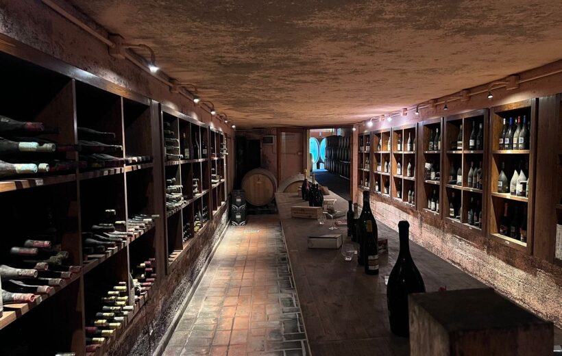 Exclusive Winery Tour and Wine and Oil tasting in Montecarlo di Lucca