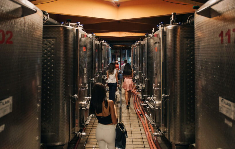 Wine and Oil tasting Shared Special tour in a Winery in Montecarlo di Lucca