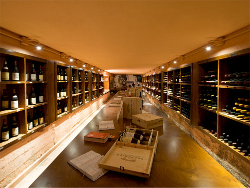 Exclusive Winery Tour and Wine and Oil tasting with Light Lunch in Montecarlo di Lucca