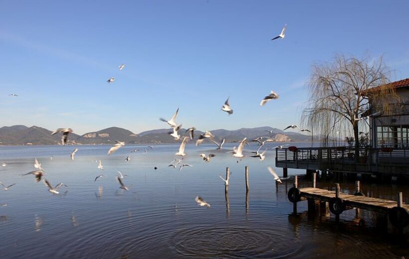 Massaciuccoli lake  Bike Tour