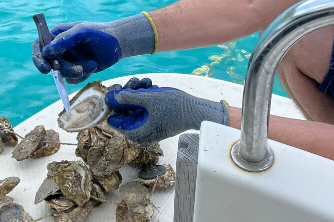 Golfo dei Poeti Tasting Oysters and Mussels on Mimi Libeccio 7.5 open