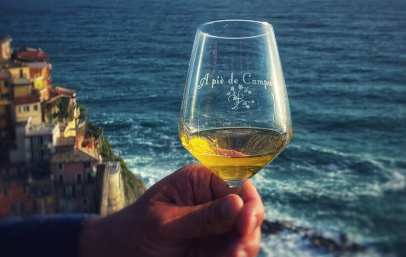 Cinque Terre White Wine Tasting