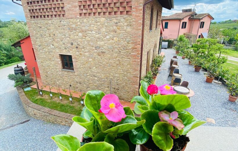 Wine Experience in Montecarlo di Lucca
